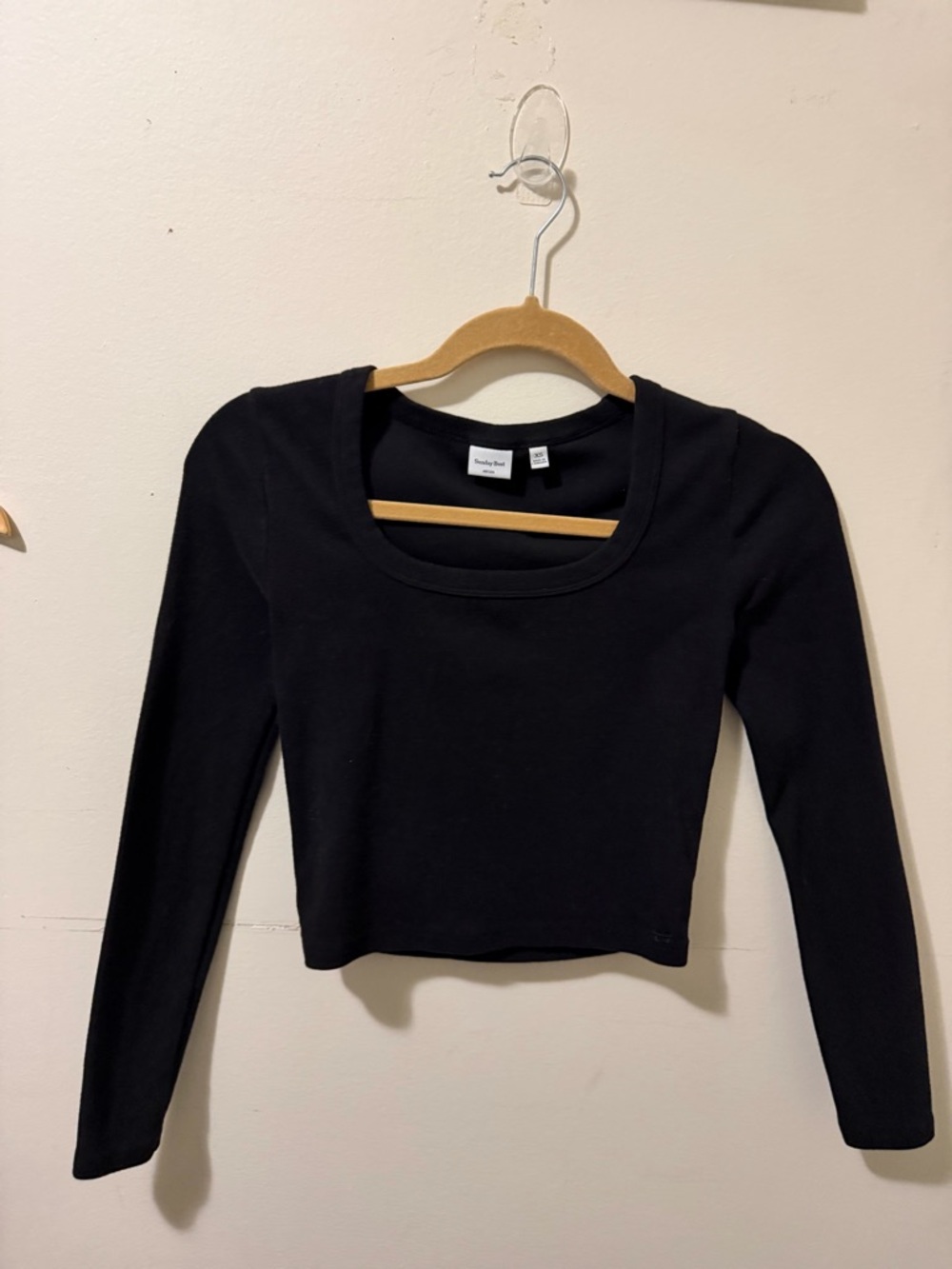 Aritzia Sunday Best Long Sleeve Scoop Neck Crop Top
